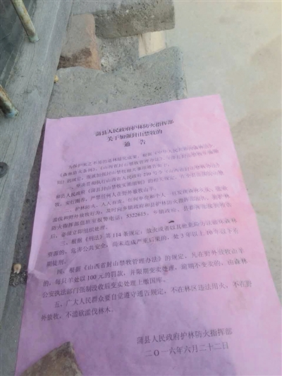 本地出具的期限处置告诉书。受访者供图