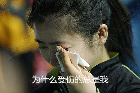 爱酱不哭,你还是我们的团宠!