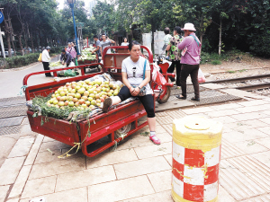 水果摊贩将三轮车停在铁道口 都市时报记者 陈蕾