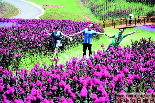 高山赏花纳凉(图),重庆避暑纳凉山村,无限挑战纳凉特辑2015,重庆主城