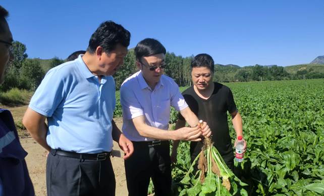 新疆正生集团推出"天山硕参" 解码人类健康新标准(组图)随着经济的