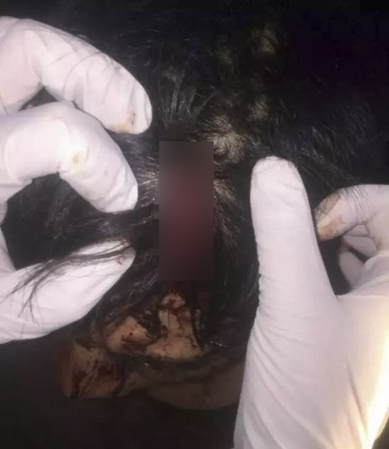广西游客马先生在大理古城步行街路口两家相邻烧烤摊前买宵夜时被用木箱子打头,还被威胁“是不是想死”。