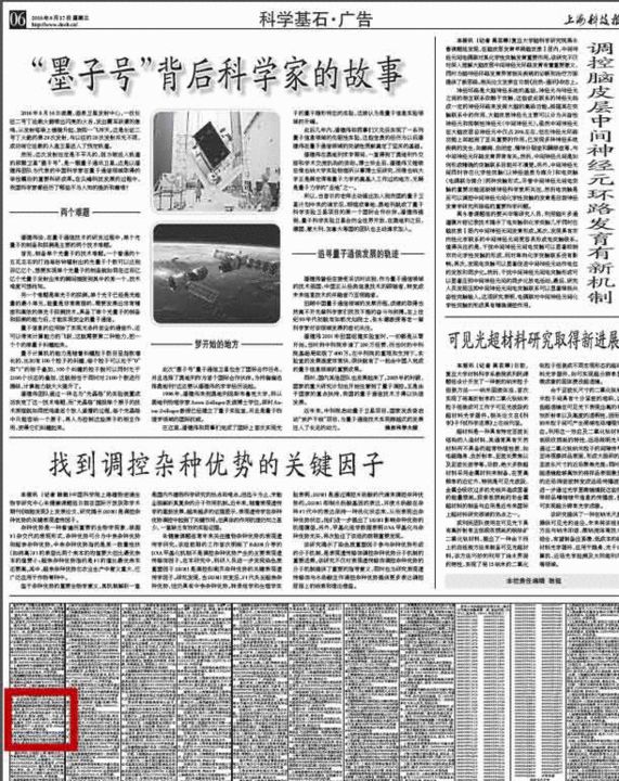 王宝强方回应马蓉爆料 或将马蓉踢出公司(图)