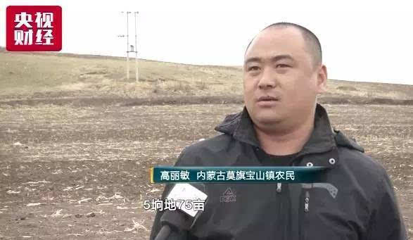 内蒙古呼伦贝尔市莫力达瓦旗宝山镇兴安村农户