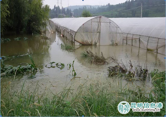 青鱼湾水上乐园一期已投入试营业阶段
