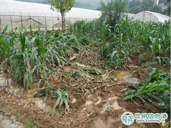 青鱼湾水上乐园一期已投入试营业阶段