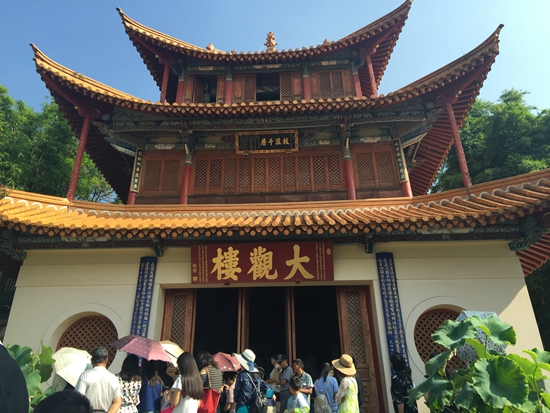 海口林场内周恩来总理亲手种下的油橄榄树。