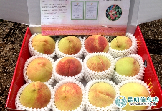 水灵的晚香蜜桃