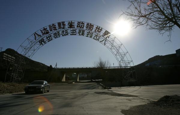 北京八达岭动物园:伤人老虎将被圈养 不会被处