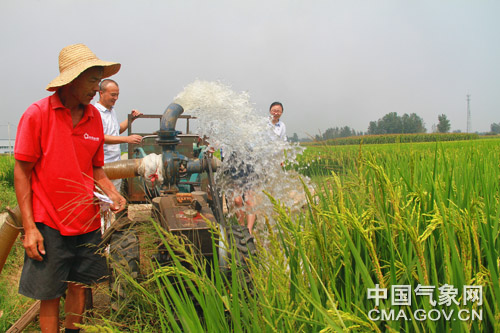 种粮人口_农民种粮