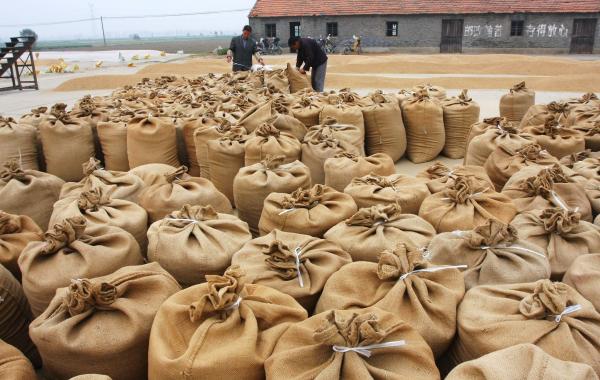 人民日报刊文:收粮许可证的门槛能不能降低?