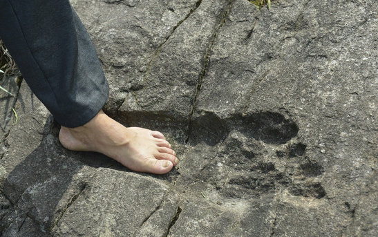 贵州惊现神秘巨人脚印引热议正常人脚的两倍多