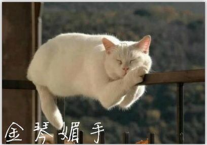 祝大家周末愉快!放飞身心,温柔对待这最好的时光。