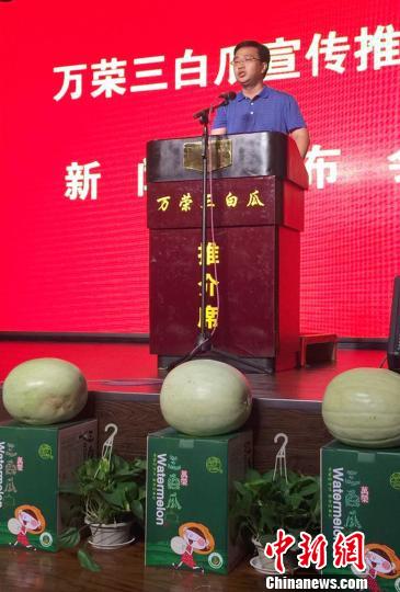 万荣县县长李永辉宣传推介三白瓜。 任丽娜 摄