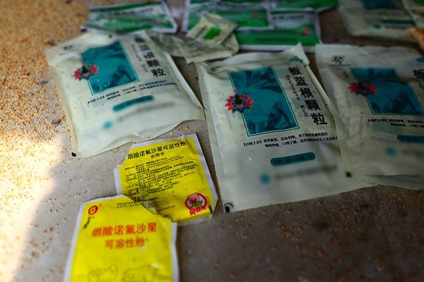 收售候鸟的鸟贩给候鸟服用的抗生素。