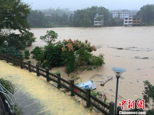 强降雨突袭，泰顺县泗溪镇河水暴涨 钟哓波 摄