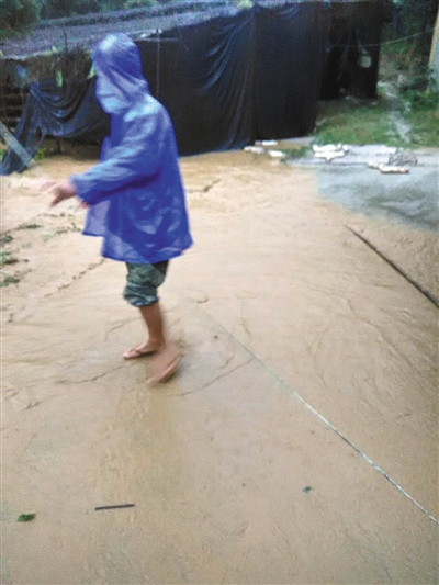 周炳耀留住的末了一张相片。9月15日,他方才清算完一处菇棚,被乡民无心间抓拍。几分钟后,周炳耀可怜落水殉职。张华忠 摄