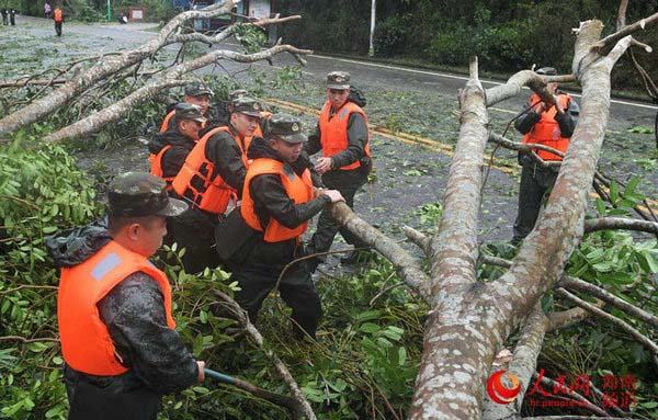 资料图：武警官兵正在清理道路树枝。