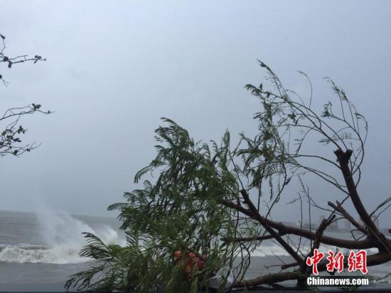 台风海马在广东汕尾登陆 中心最大风力14级