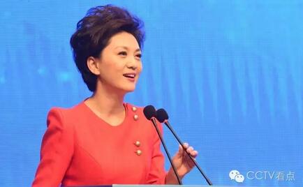 周涛董卿撒贝宁白岩松 20位央视名嘴分享主持体验