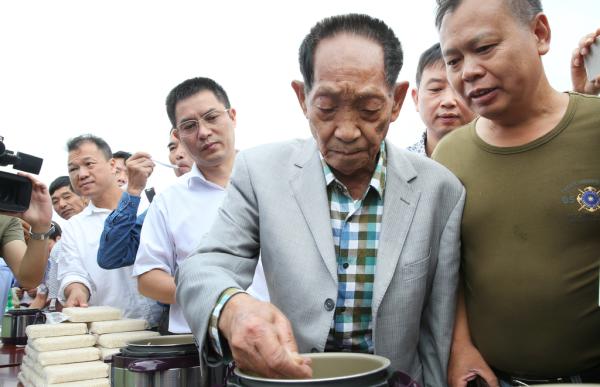 “杂交水稻之父”、中国工程院院士袁隆平今日在京出席2016世界生命科学大会时表示,海水稻很有发展前途。 视觉中国 资料图