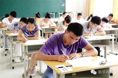 加强政务诚信、个人诚信体系和
