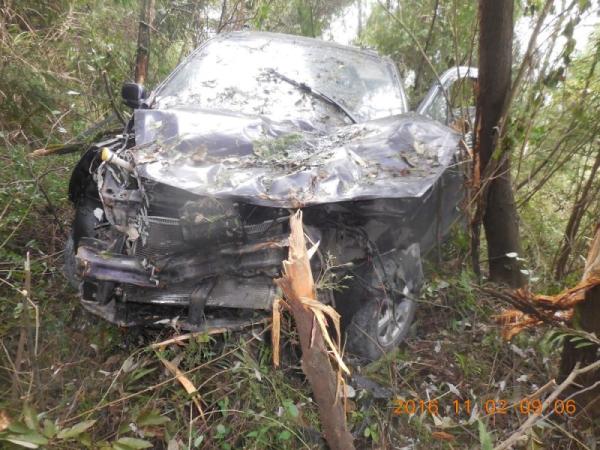 一辆轿车,轿车车身和车头已经损毁,车内一片狼藉,周围树木也被撞断,但车内并没有驾驶司机。