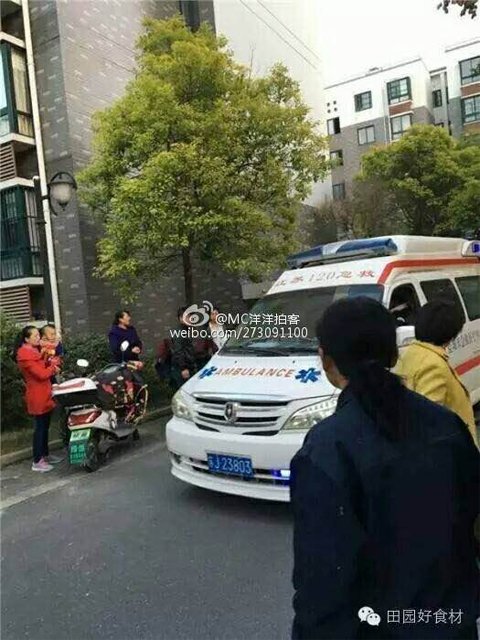 图片来自网络。