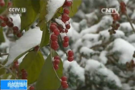 辽宁锦州地区雪景