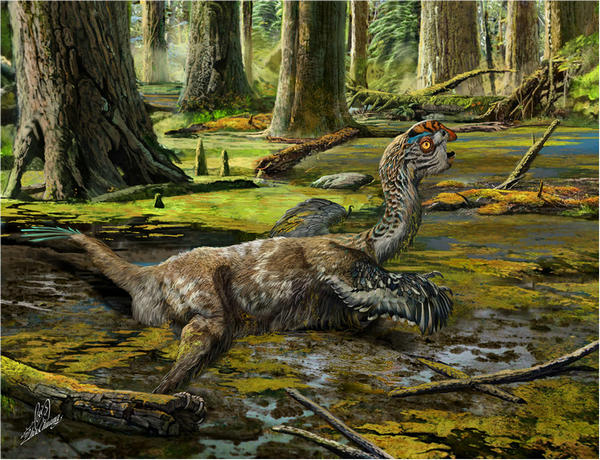 江西爆破炸出新恐龙化石 死亡姿态成全球唯一