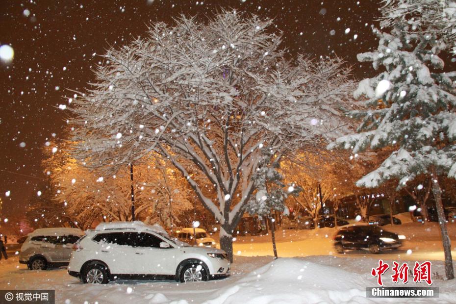 新疆阿勒泰迎大雪天气 街头车辆被雪埋 (组图)