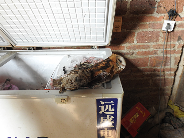 ƽضѵ䶳Ĳ^Ҷص㱣Ұ