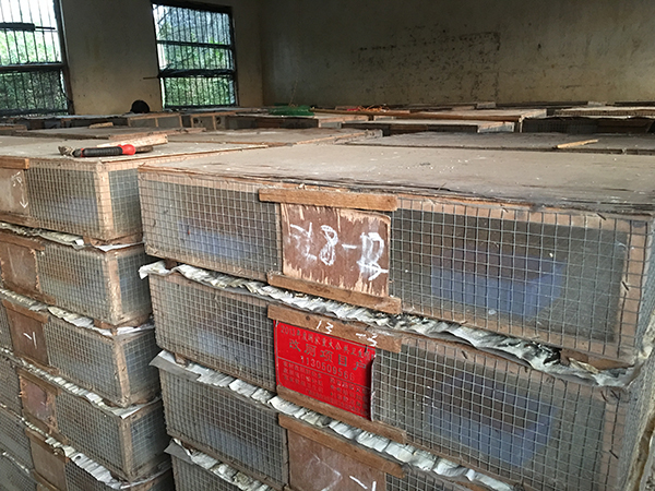 ƽͬƽɽһѧ¥ڵѵ㡣