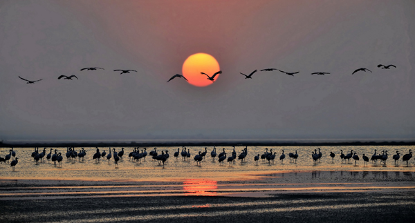 бʪر־ԸЭ鳤ıʪغƬ