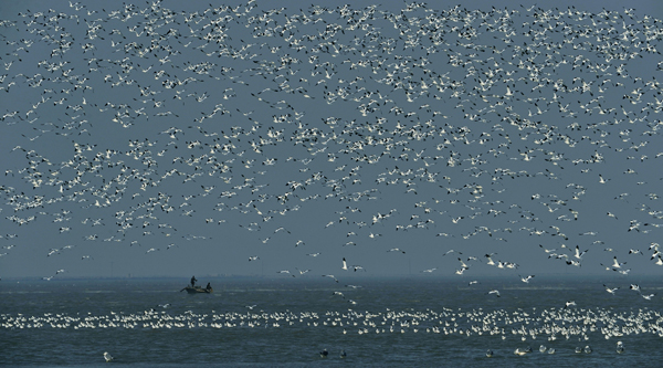 бʪر־ԸЭ鳤ıʪغƬ