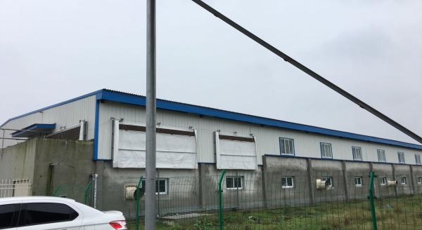 汉世伟团体家庭农场。 磅礴期货配资
记者 程真 图
