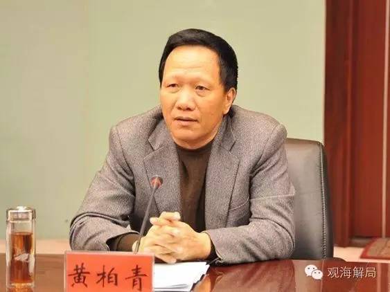 广东省纪委相关反腐警示教育片披露，黄柏青严重无视党内制度和国家利益，甚至妄图避开公开招标出让核电站的特许经营权，其主要家族成员共同贪腐，总计涉案金额接近2亿元。