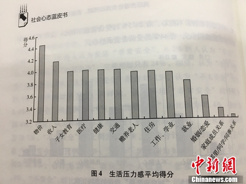 物价、本人或家庭支出排在生计压力的前两位。《社会意态蓝皮书:国家社会意态研讨陈述(2016)》。汤琪 摄