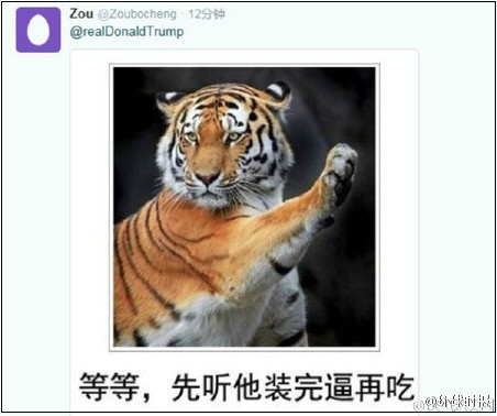 特朗普发推特称不要潜航器了 中国网友接连回复表情包