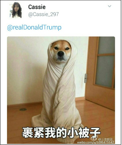 特朗普发推特称不要潜航器了 中国网友接连回复表情包