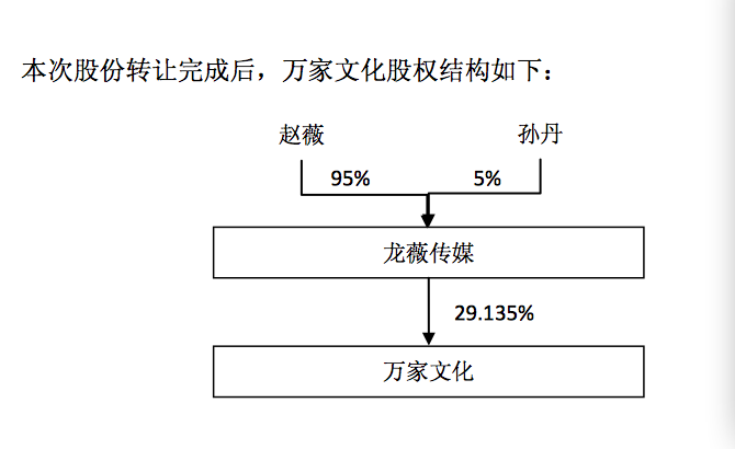 龙薇传媒主营业务是文化艺术、影视策划及广告设计等方面,与上市公司万家文化的主营业务类似。因成立时间较短,龙薇传媒尚未开展实际经营活动,暂无相关的财务信息。