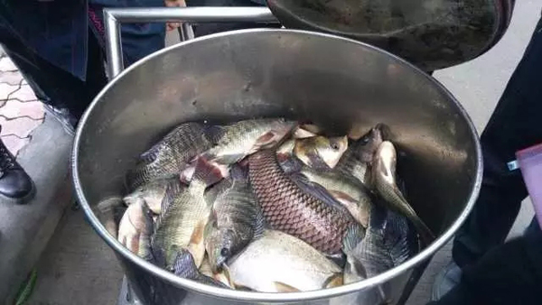 寒假刚开始 华南理工大学校区整湖鱼就被捞起