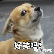 博主@回忆专用小马甲发了一个话题让大家晒冰箱,没想到...