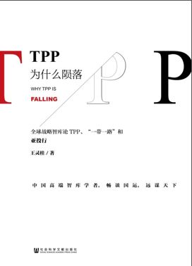 tpp为什么陨落:中国高端智库学者,畅谈国运|美