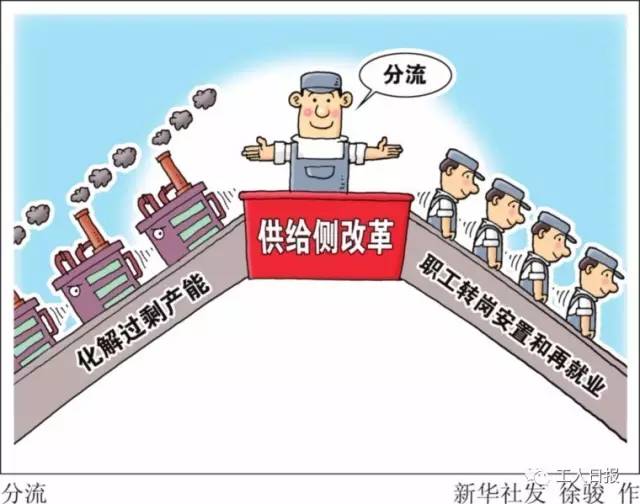 返乡创业发言材料