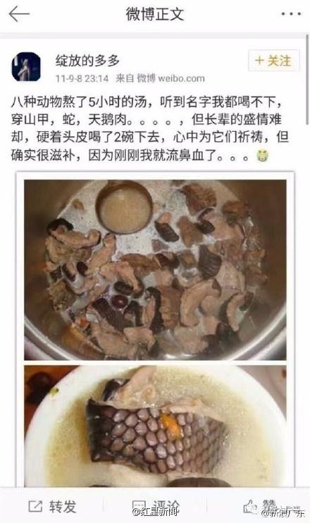 红星新闻