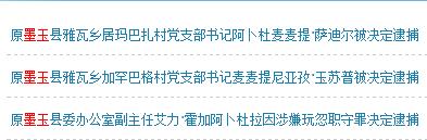 人民检察院案件信息公开网网页截图