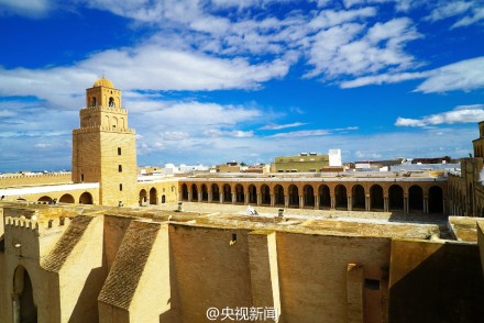 突尼斯给予中国游客免签入境待遇-搜狐新闻