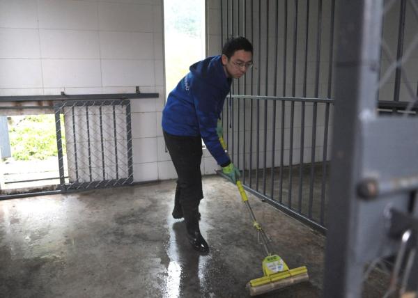 2017年2月21日，中国大熊猫保护研究中心都江堰基地饲养员唐诚在清洁为“宝宝”准备的圈舍。 新华社 图
