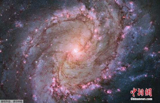 资料图：哈勃望远镜拍摄螺旋星系M83 绚丽紫色宛如宝石